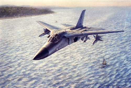RAAF F111C