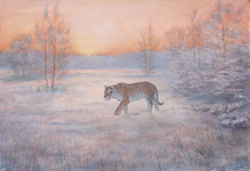 Siberian Tiger at Dusk