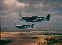 USAAF Spitfire Vs