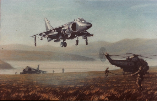 Sea Harrier, Falklands