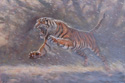 Siberian Tiger02