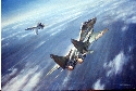 MiG29 vs F16