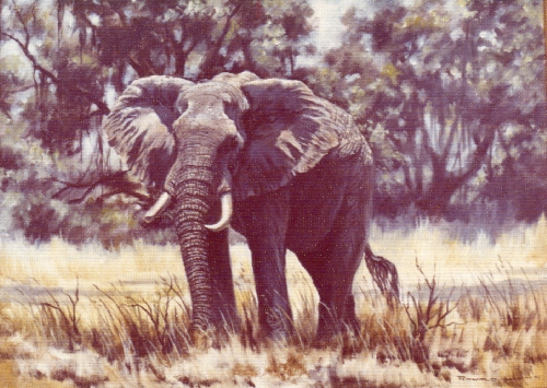 africanbehemoth