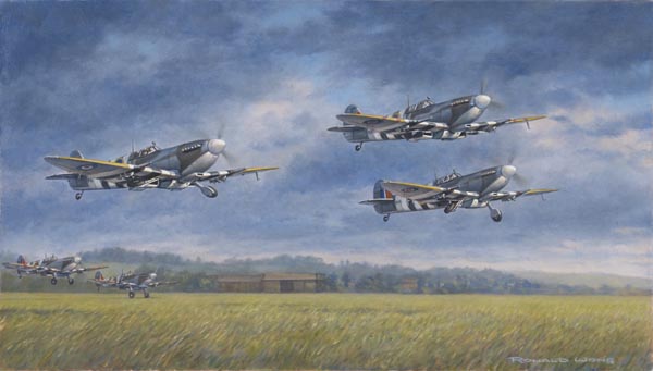 D-Day Spitfires