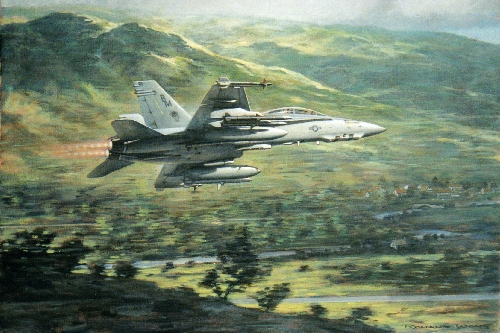 RF18A Hornet